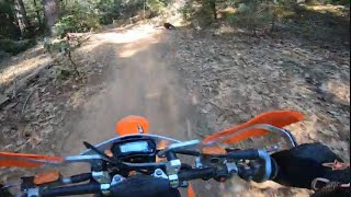 Rock Creek OHV Trail 2 Bear encounter