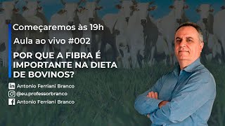 Aula AO VIVO #002: Por que a fibra é importante na dieta de bovinos?