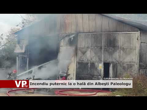 Incendiu puternic la o hală din Albeşti Paleologu