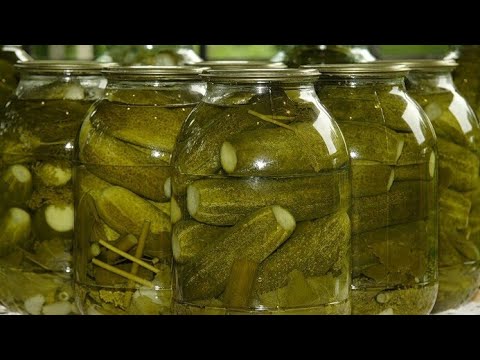 🔴 XIYAR TURŞUSUNUN HAZIRLANMA QAYDASI  / XIRT XIRT EDEN XIYAR TURSUSU 🥒🥒🥒