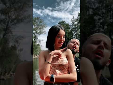 Domelipa y Dylan Fuentes, Tik Tok descubierto