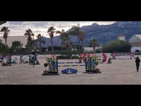 Daddy Cool Ter Linden Z