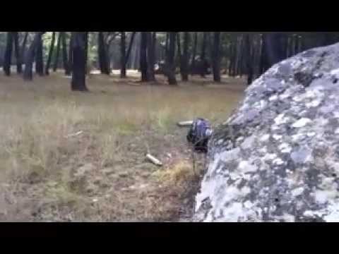 TOYSACAN. Nicoletta en el bosque