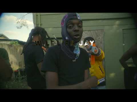 WildLife Jay - Play For Keeps 2