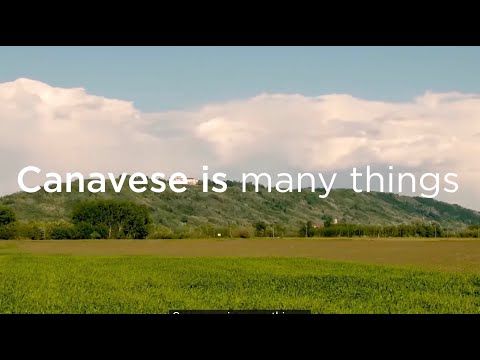 Systemic Design approach for the area of Canavese, Piedmont Region (IT)