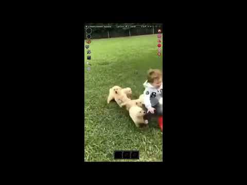 This Is How You Died | Project Zomboid