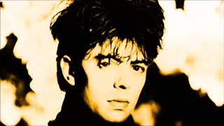 Echo &amp; The Bunnymen - Nocturnal Me (Peel Session)