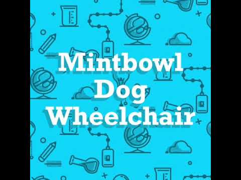 My hands on Machine by Bhumit Vyas for Mintbowl dog wheelchairs India - how we made it