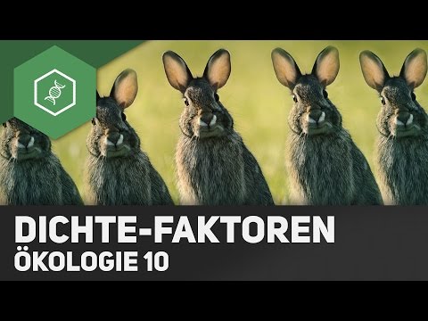 Density-dependent and density-independent factors - Ecology 10