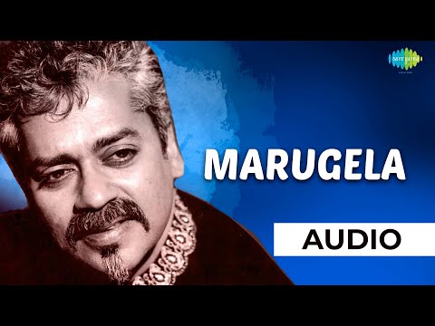 Marugela Audio Song | Telugu Song