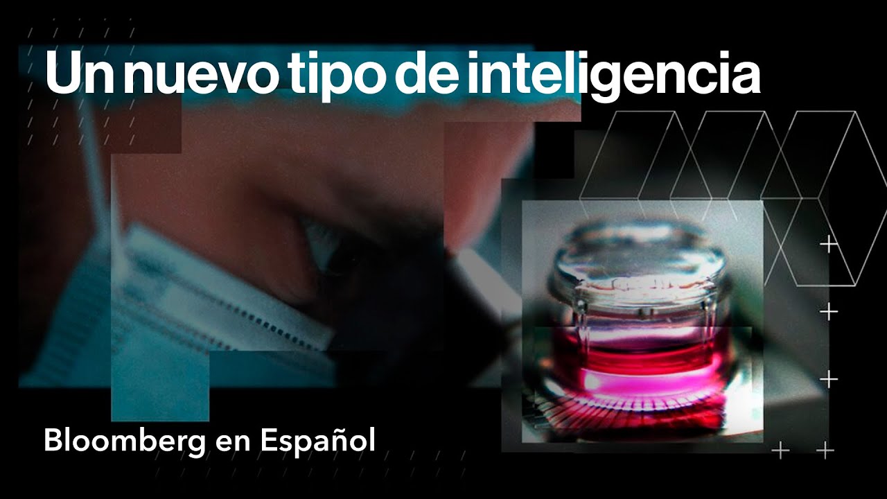 El papel de las células cerebrales humanas en el futuro de la IA | Bloomberg Primer