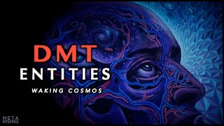 DMT Entities and Higher Dimensional States of Consciousness