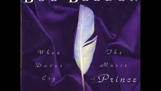 Bob Belden :Baby I&#39;m a Star (Prince )jazz fusion version