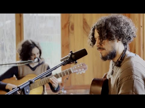 Zorro gris - Calma (sesión en vivo)