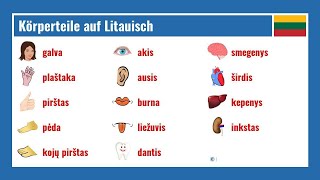 Körperteile auf Litauisch