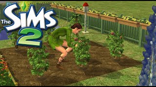 🌿Sims 2 No Commentary Gameplay | Gardening & Quiet Moments🌿Harvest Time! | Cottagecore ASMR 🌱