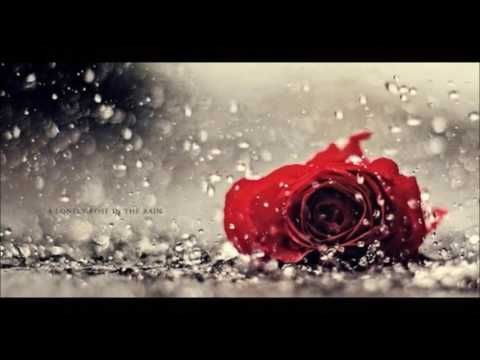 Fadi Dawoudi/Spanish Guitar/Buleria Flamenco