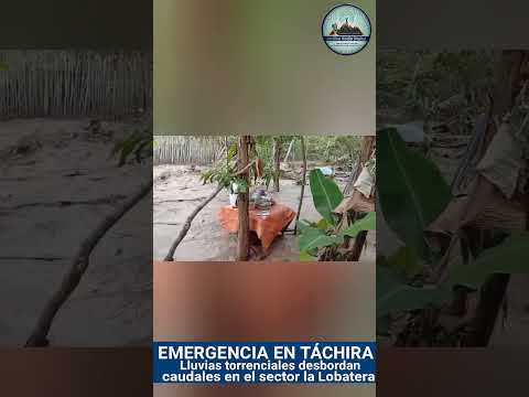 ​EMERGENCIA EN TÁCHIRA Lluvias  desbordan caudales en Lobatera #lluvias  #tachira  #venezuela