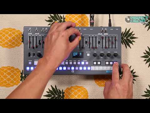 Malekko Heavy Industry Manther Analog Monosynth image 2