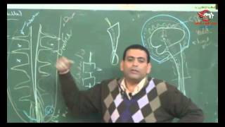 Dr Ahmed Elzainy Spinal cord ( part 1) Neuroanatomy الدكتور احمد الزيني