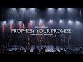 Prophesy Your Promise