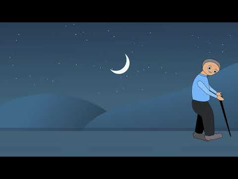 Human Life Cycle - Quick Animation