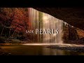 Sade - Pearls (Lyric Video)