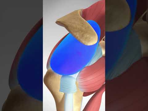 Guess The Spine Injury And Procedure Challenge