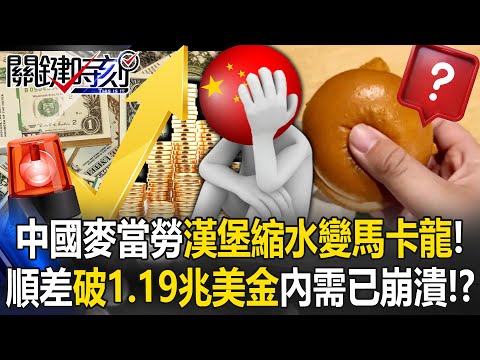 [ENG SUB]China’s McDonald’s Burgers Shrink into “Macaron Size”!