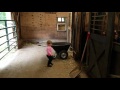 Priceless 2 Year Old Reaction To Horse Farting