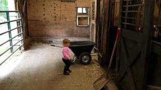 Toddler's reaction to farting horse