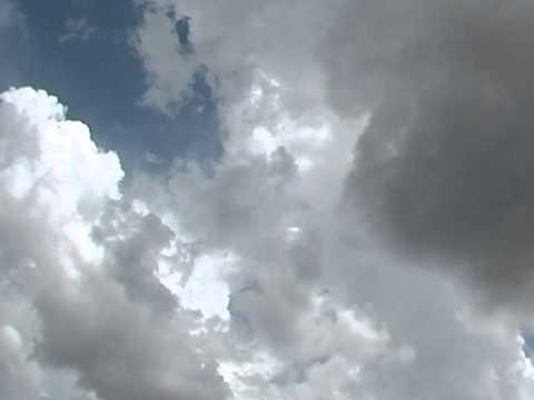 Adrian Paunescu - INTOARCEREA TARANULUI