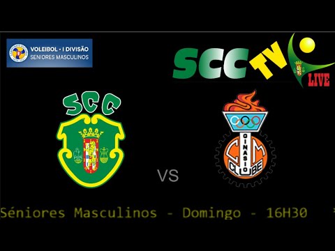 SC Caldas x Castelo da Maia GC - Voleibol 1ª Divisão 20-12-2020 - 16H30