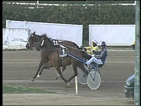 Trotto 28/02/2016 - 5° corsa