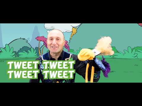 Carnavalhit 2019 // Yves Segers - Vi Va Vogeltje (officiële videoclip)