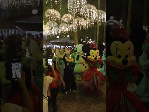 natal de luz em São Miguel do Guamá Pará #natal #momentomagico