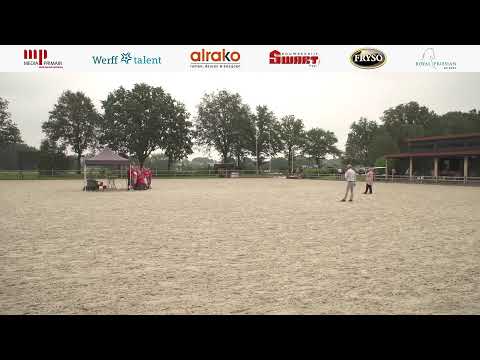 Fokdag | Vereniging Friesch Paard Oost-Nederland | 14 augustus 2024