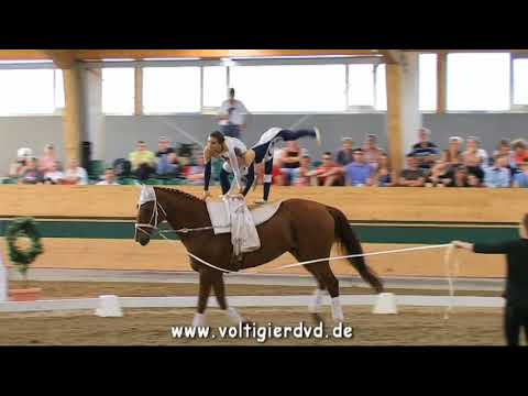 Seniorteam Poland (POL) - CVI3 Squad 08 - CVI Ebreichsdorf 2017