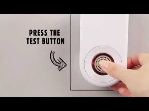 The Big Cheese Advanced Rat and Mouse Repeller