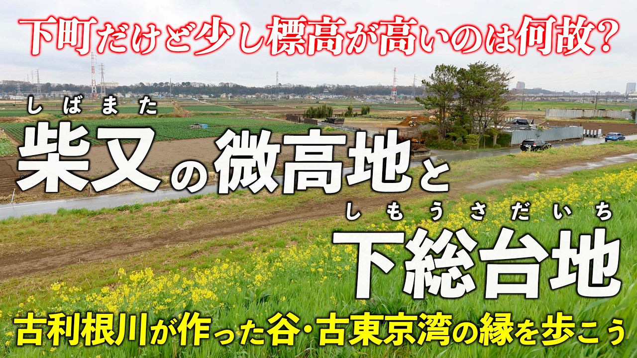 東京･柴又の微高地と下総台地 ｜ 台地から伸びる砂州は どうやってできたのか？