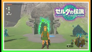 【ゼルダの伝説　ティアーズオブザキングダム】今日も今日とて、祠解放は終わらない！空編　ティアキンいってみましょう～！！！
