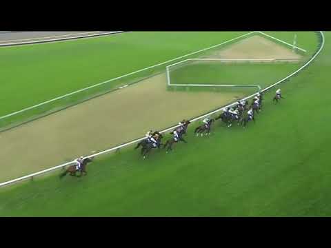 2021.10.31 Tenno Sho (Autumn)(JPN) - Efforia