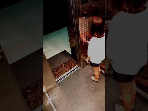 Thanh niên sàm sỡ cô gái trong thang máy và bị ma nữ cưỡng hiếp rồi ám sát trong thang máy tử vong 