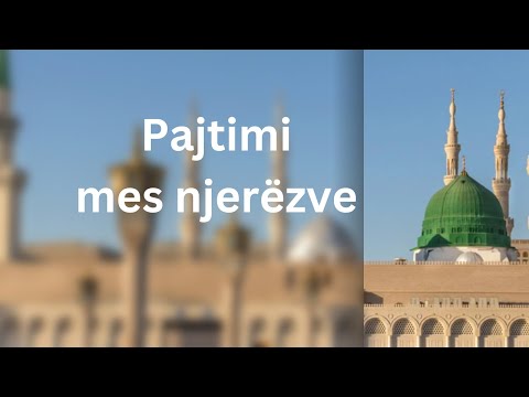 Pajtimi mes njerëzve