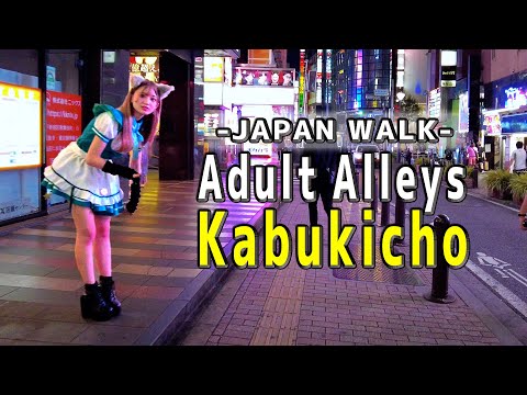 Japan Walk Kabukicho at late night, Adult Red Light District, back alley in Shinjuku, Tokyo｜歌舞伎町 4K