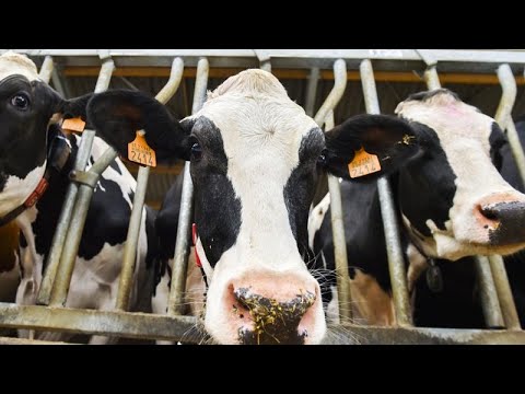The Brief: EU-Mercosur, keine EP-Fraktion für Farage, EU-Marokko