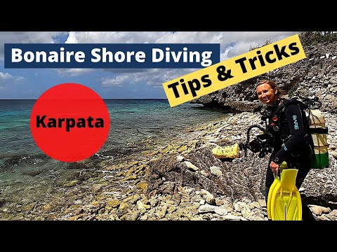 Bonaire Shore Diving Tips & Tricks - Karpata!