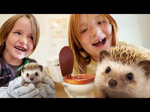 BABY HEDGEHOG BABYSiTTERS!!  Adley and Niko play with a Bunny, a Labubu, & Animals in a Japan Cafe