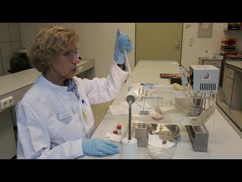 Lehrvideo der MTA-Schule Hamburg: Quick-Test mit Wasserbad