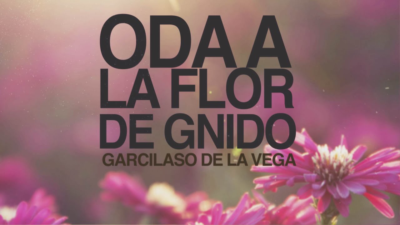 Oda a la flor de Gnido - Garcilaso de la Vega
